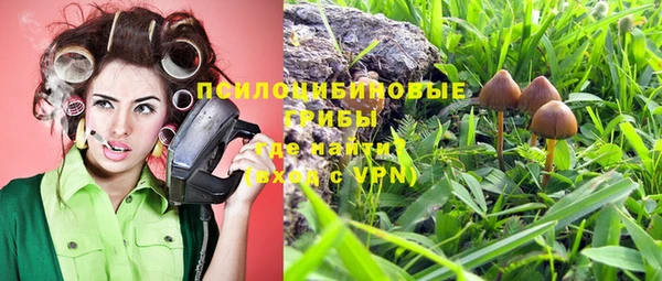 каннабис Алексеевка