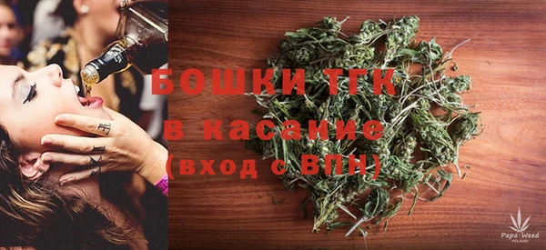 бошки Алексин