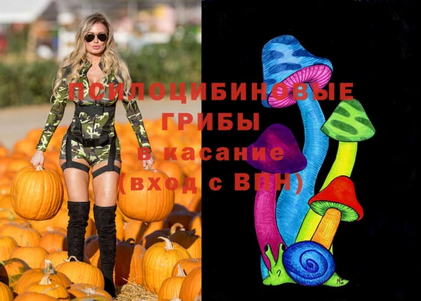 бошки Алексин