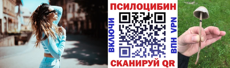 Псилоцибиновые грибы мухоморы цена Нижний Тагил